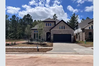 26147 Treetop Terrace Lane, Montgomery, TX 77316 - Photo 3