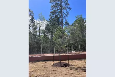 26147 Treetop Terrace Lane, Montgomery, TX 77316 - Photo 15