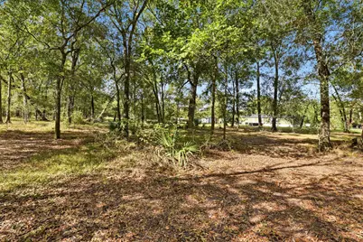 137 County Road 411, Dayton, TX 77535 - Photo 41
