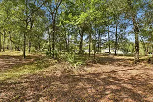 137 Co Rd 411, Dayton, TX 77535 - Photo 41