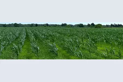 00 County Rd 390, El Campo, TX 77437 - Photo 1