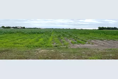 00 County Rd 390, El Campo, TX 77437 - Photo 5