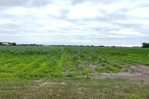 00 County Rd 390, El Campo, TX 77437 - Photo 5