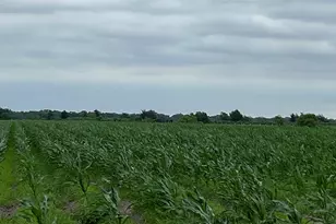 00 County Rd 390, El Campo, TX 77437 - Photo 7