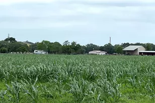 00 County Rd 390, El Campo, TX 77437 - Photo 3