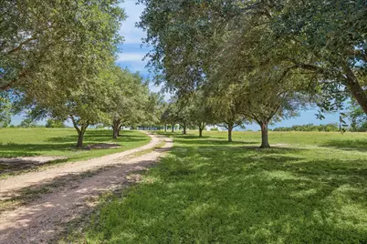 18250 Bosse Road, Washington, TX 77880 - Photo 5