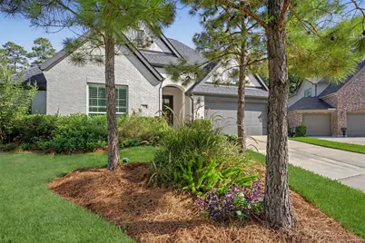 313 Lane Landing Place, Montgomery, TX 77316 - Photo 3