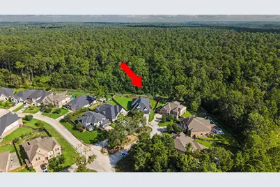 313 Lane Landing Place, Montgomery, TX 77316 - Photo 37