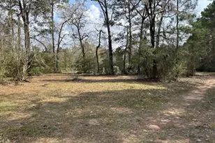 30996 Strathmore Rd, Waller, TX 77484 - Photo 19