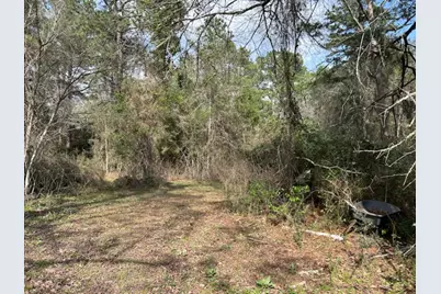 30996 Strathmore Road, Waller, TX 77484 - Photo 17