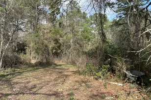 30996 Strathmore Rd, Waller, TX 77484 - Photo 17