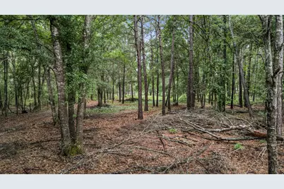 1507 County Road 3011, Dayton, TX 77535 - Photo 7