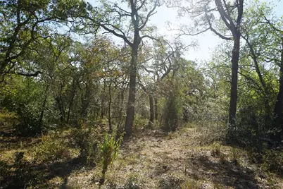 0 Old Seguin Luling Road, Kingsbury, TX 78638 - Photo 25