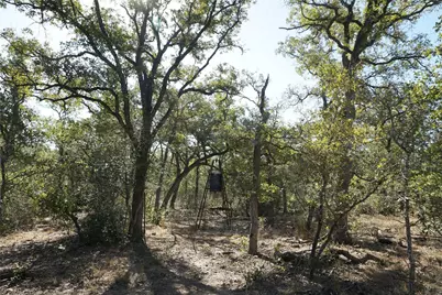 0 Old Seguin Luling Road, Kingsbury, TX 78638 - Photo 21