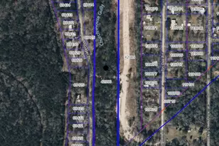 Tbd McGager Dr, New Caney, TX 77357 - Photo 17