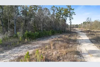 Tbd McGager Drive, New Caney, TX 77357 - Photo 15