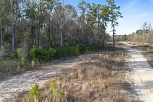 Tbd McGager Dr, New Caney, TX 77357 - Photo 15