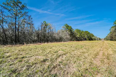 0 County Road 6242, Huffman, TX 77336 - Photo 15