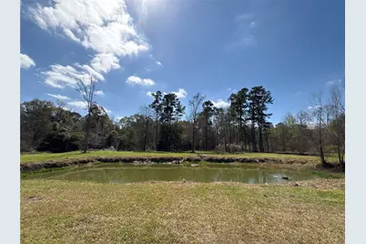 1821 E Beverly Drive, Shepherd, TX 77371 - Photo 9