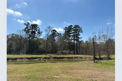 1821 E Beverly Drive, Shepherd, TX 77371 - Photo 9