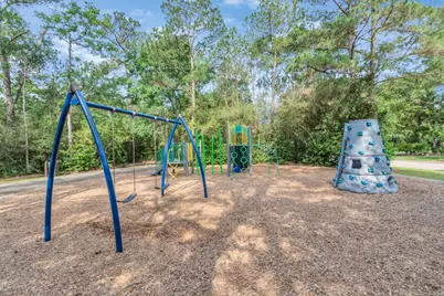 19 Long Springs Place, The Woodlands, TX 77382 - Photo 49