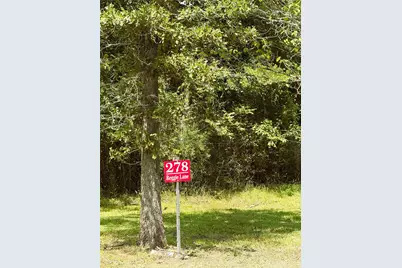 278 Reggie Lane, Trinity, TX 75862 - Photo 11