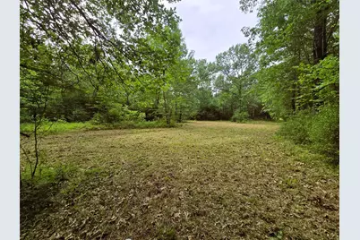 278 Reggie Lane, Trinity, TX 75862 - Photo 3