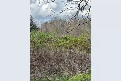 2941 County Road 352, Brazoria, TX 77422 - Photo 9
