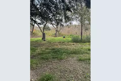 2941 County Road 352, Brazoria, TX 77422 - Photo 5
