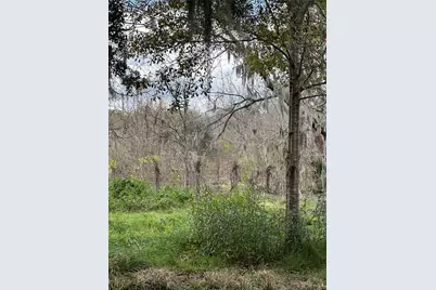 2941 County Road 352, Brazoria, TX 77422 - Photo 13
