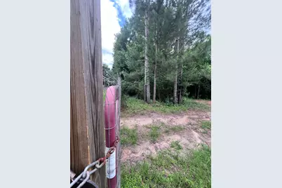 967 Big Foot Wallace Trail, Livingston, TX 77351 - Photo 5