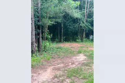967 Big Foot Wallace Trail, Livingston, TX 77351 - Photo 7