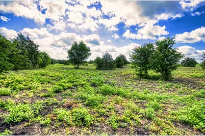 Lot 1 Wonder Hill Road, Chappell Hill, TX 77426 - Photo 7