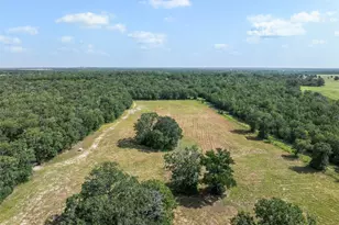 6811 Mockingbird Rd, Flatonia, TX 78941 - Photo 3