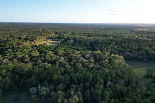 450 Dove Creek Dr, Coldspring, TX 77331 - Photo 47