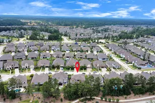 17355 Camillia Trails, Conroe, TX 77302 - Photo 31