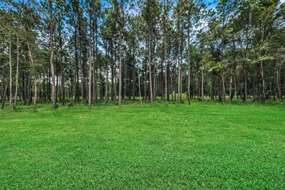 13656 Armstrong Street, Conroe, TX 77303 - Photo 5