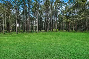 13656 Armstrong St, Conroe, TX 77303 - Photo 5