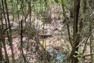 20818 Red Oak Dr, Cleveland, TX 77328 - Photo 7