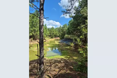 20818 Red Oak Drive, Cleveland, TX 77328 - Photo 11