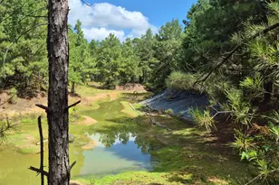 20818 Red Oak Dr, Cleveland, TX 77328 - Photo 11