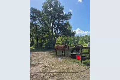 20818 Red Oak Drive, Cleveland, TX 77328 - Photo 9