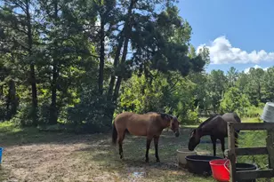 20818 Red Oak Dr, Cleveland, TX 77328 - Photo 9