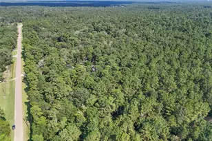 20818 Red Oak Dr, Cleveland, TX 77328 - Photo 15