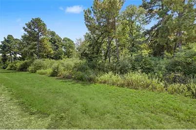 Lot 15 Woodland Hills Ranch, Centerville, TX 75833 - Photo 5