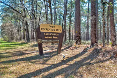 Lot 7 Homestead Hill Road, New Waverly, TX 77358 - Photo 5