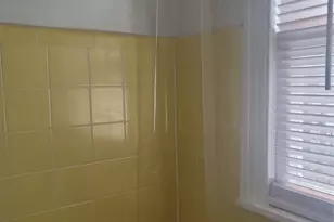 1914 Binz St, Houston, TX 77004 - Photo 13