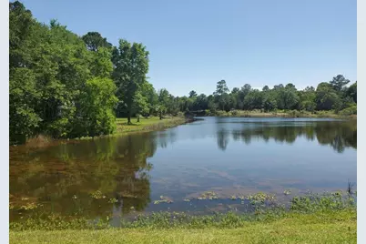 Lot 35 Redwood, Hempstead, TX 77445 - Photo 7