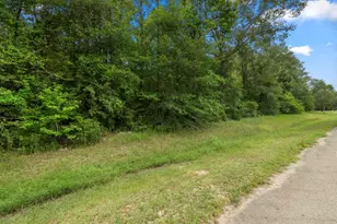 4207 Longhorn Drive, Cleveland, TX 77328 - Photo 9