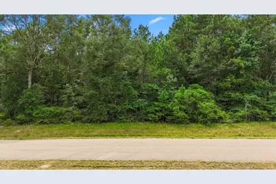 4207 Longhorn Drive, Cleveland, TX 77328 - Photo 11